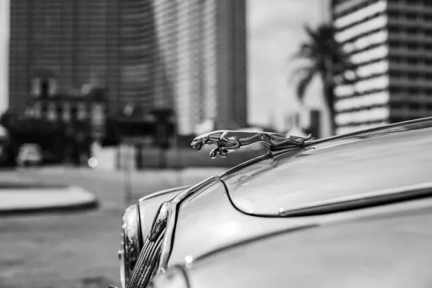 Casino Prize Land Bingo Aplicación Android/iOS